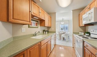 535 Pierce St 3216, Albany, CA 94706