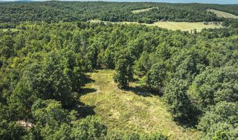 470 County Road 118, Annapolis, MO 63670