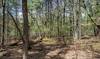 S Badger Lane lot 38, Arkdale, WI 54613