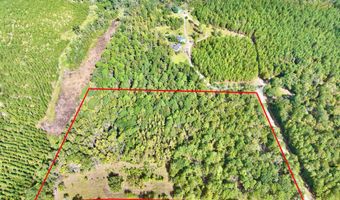 Eugene Ward Road, Adrian, GA 31002