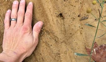 Hwy 9, Bruce, MS 38915