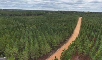 Penny Morris Road, Baxley, GA 31513