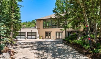 75 Bennett Ct, Aspen, CO 81611