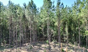 1570 AL HWY 223, Banks, AL 36005