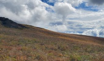 00 Cuddy Mountain Mineral Land, Cambridge, ID 83610