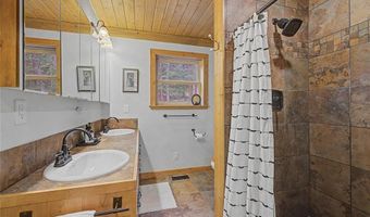 62 Lazy Rex Rd, Alma, CO 80440