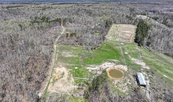 1064 W Helmer Lake Rd, Almer, MI 48647