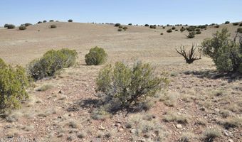 14 CR 5525, Concho, AZ 85924