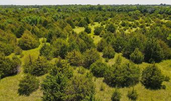 81 3+/- Acres SW Boyer Rd, Augusta, KS 67010