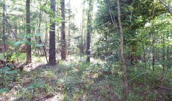 330 County Road 245, Abbeville, MS 38601