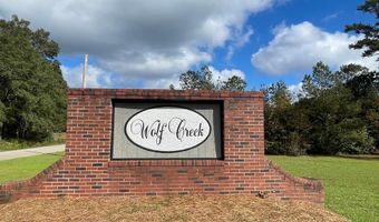 TBD Wolf Creek Dr, Americus, GA 31719