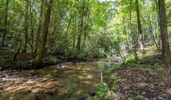 2 9 AC Chestnut Flats Rd, Andrews, NC 28901