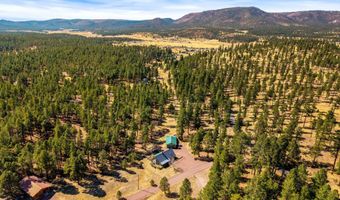 17 County Road 2114, Alpine, AZ 85920
