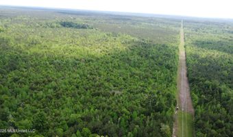 Christian Hts Road, Braxton, MS 39044
