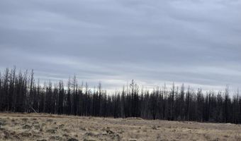 Bull Pine Road 173 Acres, Bly, OR 97622