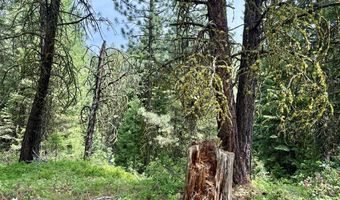 53 Landale Ln 37, Cascade, ID 83611