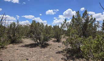 165 Off Old Hwy 66, Ash Fork, AZ 86320