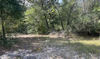 2355 Momence Ct, Alford, FL 32420