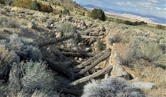 325 Davis Meadow Trl, Dyer, NV 89010