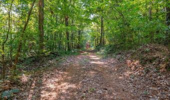 50 Acres Scenic Hwy, Attalla, AL 35954