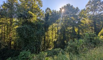 0 KY-225, Artemus, KY 40903