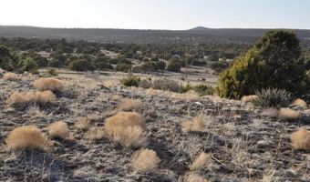 20 County Road 3044, Concho, AZ 85924
