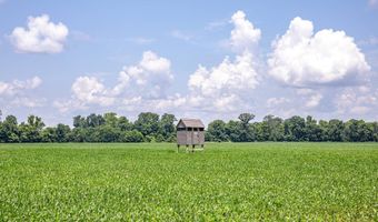 0 Straight Bayou Rd, Anguilla, MS 38721
