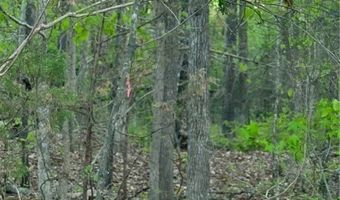 Selma Road, Amelia, VA 23083
