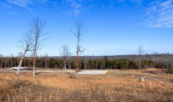 3968 Highway 167, Ash Flat, AR 72513