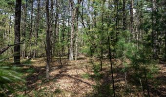 S Badger Lane lot 38, Arkdale, WI 54613