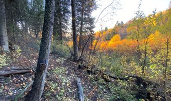 400 GROVER DRY FARM Rd, Afton, WY 83110