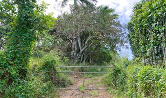 54-1119 MAHIAI Pl, Kapaau, HI 96755