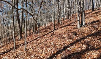 Nebo Mountain Rd. lot Multiple, Atkins, VA 24311