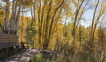 1036 Red Mountain Rd, Aspen, CO 81611