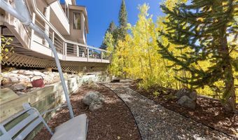 1139 BOREAS PASS Rd, Breckenridge, CO 80424