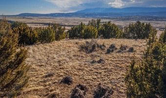 Cedar Grove Rd. lot 73, Beulah, CO 81023