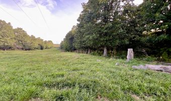 44 Thrasher Ln, Anderson, MO 64831