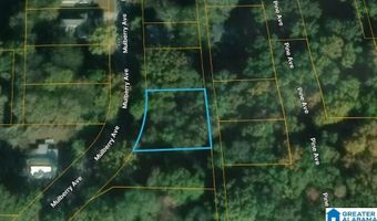 MULBERRY AVENUE, Anniston, AL 36201