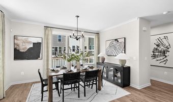 54320 MYSTIC MAROON Ter, Ashburn, VA 20147