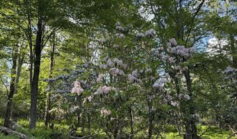Lot 10 TWILIGHT Drive, Cresco, PA 18326