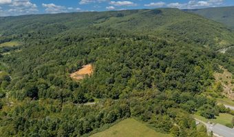 Lot 20 Clear Fork Creek Road, Bastian, VA 24314