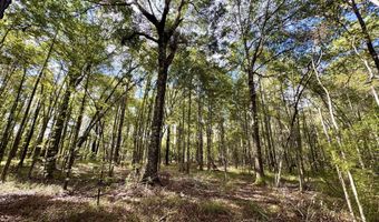 Eugene Ward Road, Adrian, GA 31002