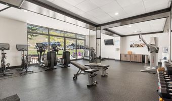 38750 Hwy 82 1109, Aspen, CO 81611