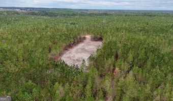 Penny Morris Road, Baxley, GA 31513