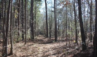 2650 Joe Miley Rd, Brunson, SC 29911