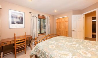 114 PARK FOREST Dr, Breckenridge, CO 80424