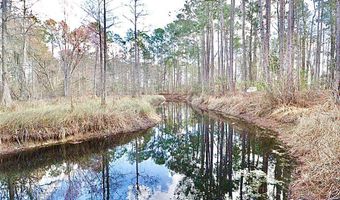 123 Westover Dr, Adel, GA 31620