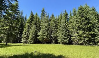 2216 Mosquito Creek Rd, Clark Fork, ID 83811