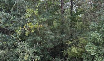 Grand Mesa Ave, Alford, FL 32420