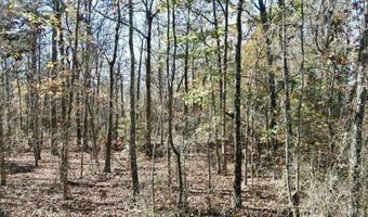 0 Atoka Dr, Bee Branch, AR 72013